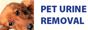 pet-urine-removal image stain removal
